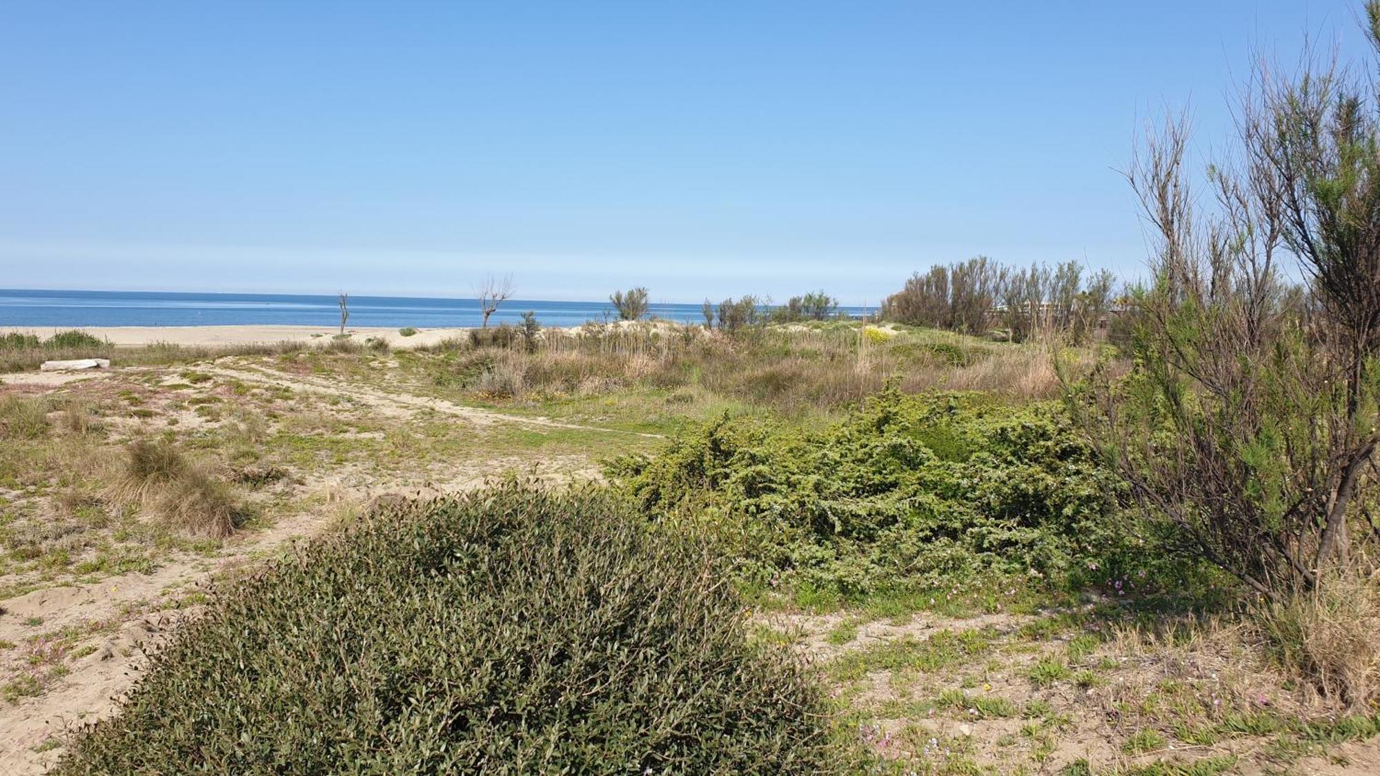 La Bouganville Passoscuro Exteriér fotografie